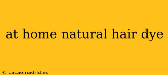 at home natural hair dye