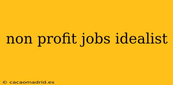 non profit jobs idealist